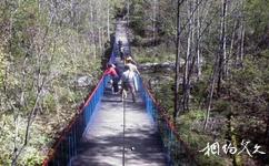 阿城玉泉威虎山森林公園旅遊攻略之鐵索橋