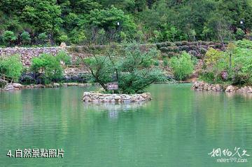 南平邵武雲靈山旅遊景區-自然照片
