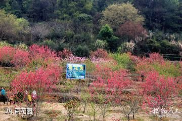 广东神光山国家森林公园-百花园照片