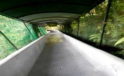 温州永嘉龙湾潭国家森林公园旅游攻略之滑道长廊