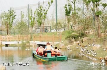 南通森林野生動物園-船行照片