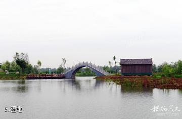 台儿庄运河湿地公园-湿地照片