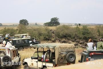 肯尼亚马赛马拉国家保护区-游览方式照片