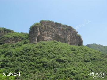 平谷老象峰景区-山岭密林照片