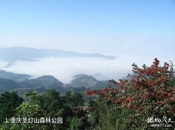 重庆圣灯山森林公园照片