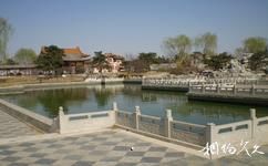 北京中華文化園旅遊攻略之動園