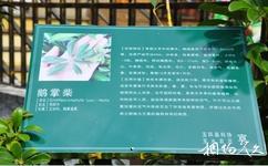 台州市玉水农庄农业观光旅游攻略之科普教育基地