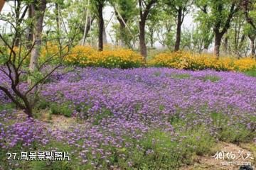 上海聞道園-風景照片