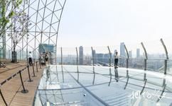 重庆横向摩天楼来福士水晶连廊旅游攻略之观景台