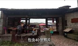 金溪竹桥古村驴友相册