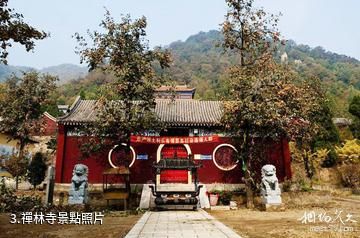 遵化禪林寺古銀杏風景園-禪林寺照片