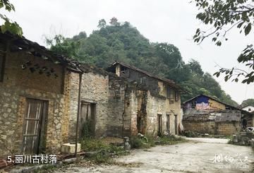 天等丽川文化森林公园-丽川古村落照片