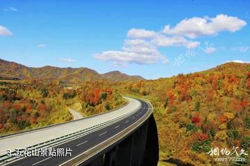 哈爾濱亞布力虎峰嶺風景區-五花山照片