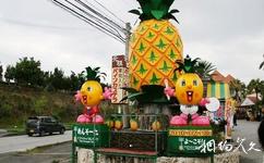 日本沖繩旅遊攻略之菠蘿園(Pineapple)