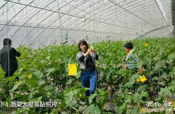 齊河昌潤致中和有機農場-蔬菜大棚照片