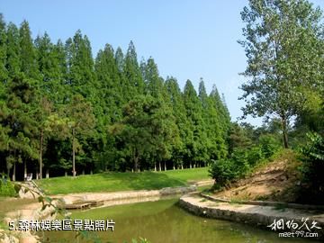 濮陽綠色莊園景區-森林娛樂區照片