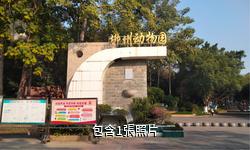 柳州動物園驢友相冊