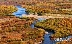 内蒙古自治区额尔古纳市旅游攻略之根河湿地