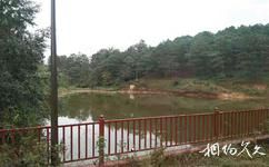 西昌茅坡櫻紅旅遊攻略之雨滿池