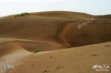 新疆图开沙漠-波纹照片