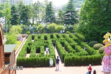 杭州烂苹果乐园-植物迷宫照片