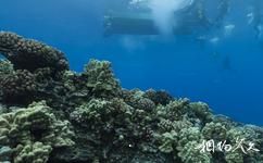 夏威夷莫洛凯岛海底1旅游攻略之海底拍摄