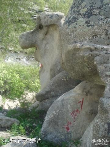 阿勒泰五指泉風景區-八戒石照片