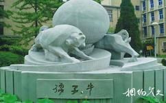中国科学技术大学校园概况之雕塑