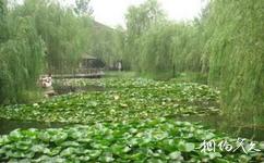 南京江心洲民俗村旅游攻略之湿地公园