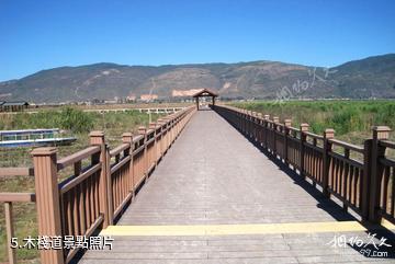 石屏異龍湖濕地公園-木棧道照片