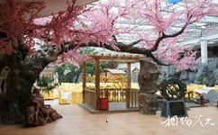 安順貴州多彩萬象旅遊城旅遊攻略之多彩生態花園酒店