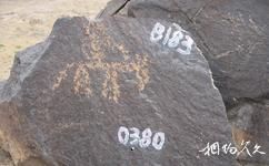 阿拉善盟曼德拉山岩画旅游攻略之编号