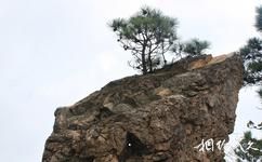 岳西明堂山旅遊攻略之松石