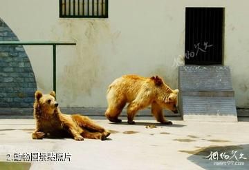 淄博奎盛園-動物園照片