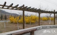 大連西山湖公園旅遊攻略之長廊