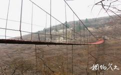 沂源魯山溶洞群旅遊攻略之鐵索橋
