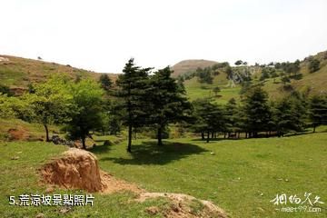 宜昌百里荒高山草原旅遊區-荒涼坡照片