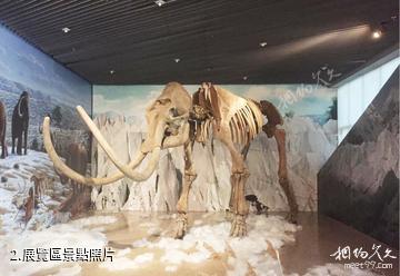 昌吉恐龍館-展覽區照片
