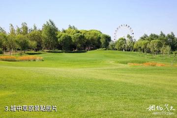 庫爾勒體育公園-城中草原照片