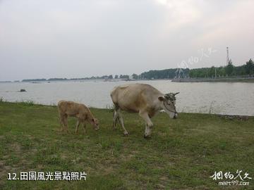 南陽望花湖風景區-田園風光照片