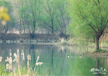 汤阴汤河国家湿地公园-湿地照片
