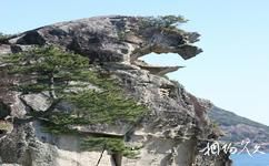 杭州天目山旅遊攻略之獅子岩