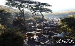 辽阳核伙沟森林公园旅游攻略之羊群