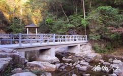 郴州九龍江國家森林公園旅遊攻略之涼亭
