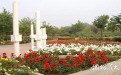 洛陽市中國國花園旅遊攻略之丹輝園