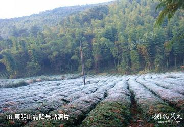 杭州東明山森林公園-東明山霜降照片