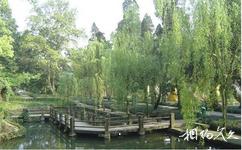 重庆北温泉旅游攻略之观鱼池