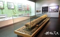 唐山开滦矿山博物馆旅游攻略之煤的史话