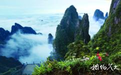 湖南郴州莽山国家森林公园旅游攻略之天台山