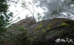 台灣溪頭森林公園（溪頭自然教育園區）旅遊攻略之巨石